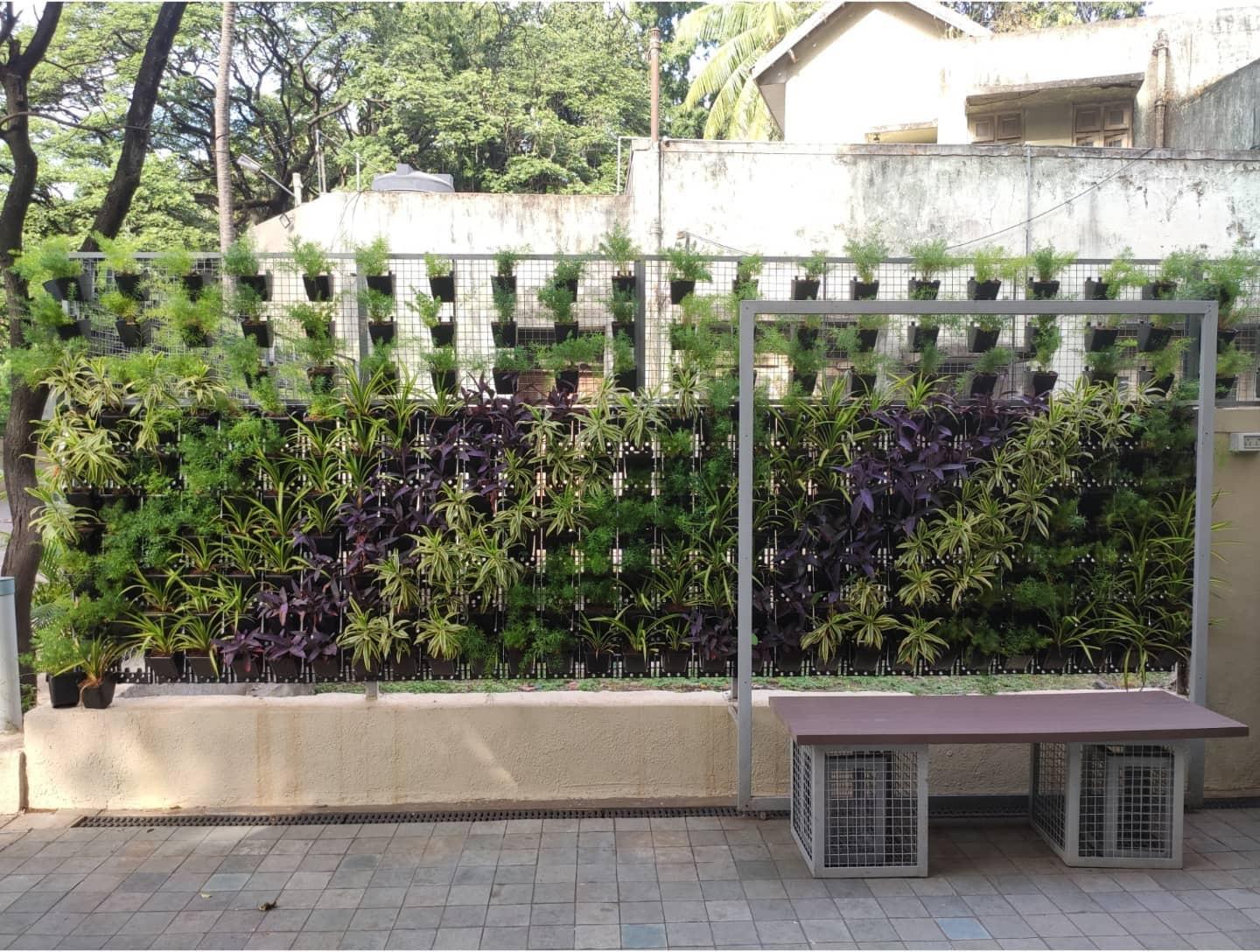 The same wall in daylight, its full run read from across the terrace