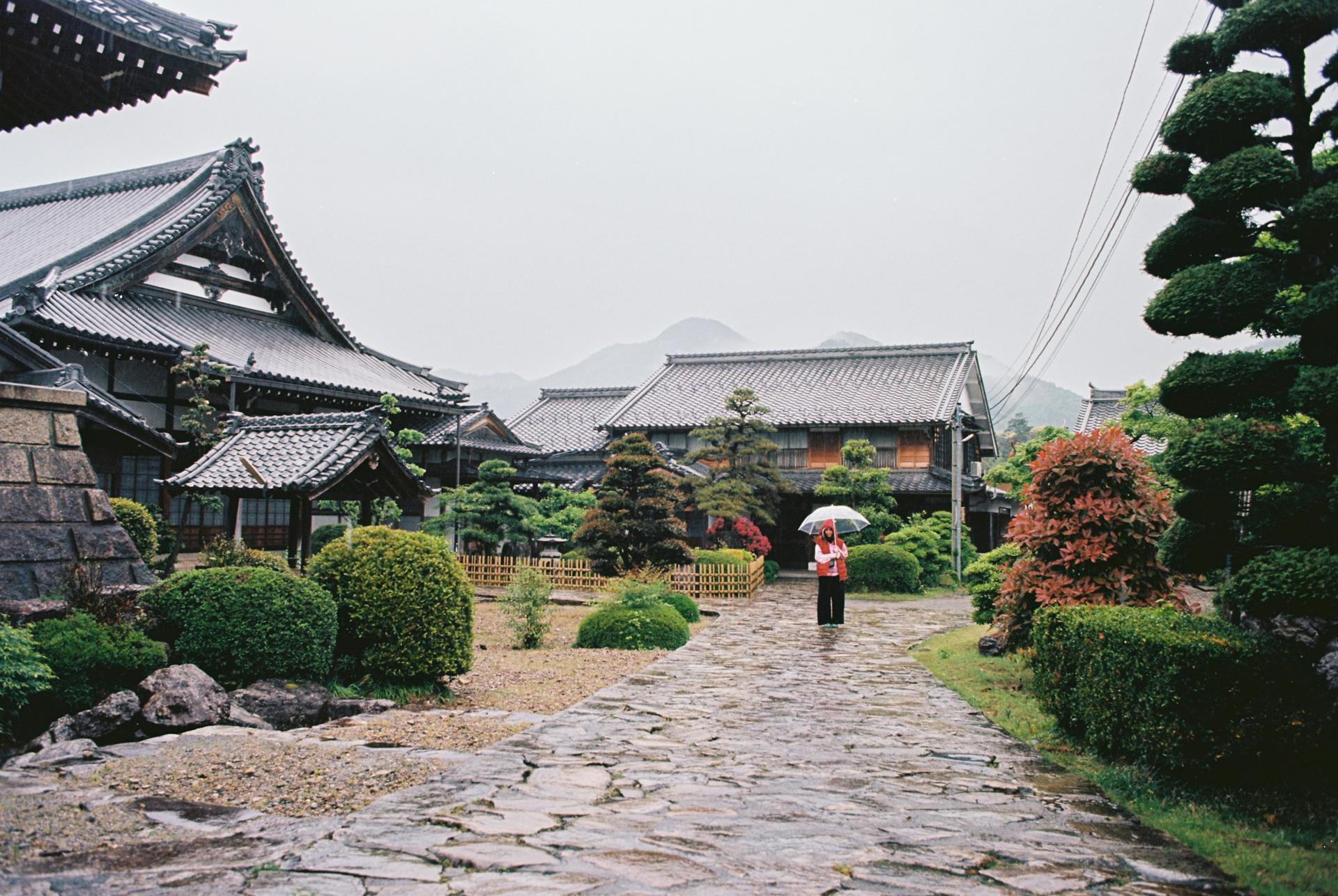 A person walking a stone path through a courtyard garden in soft light