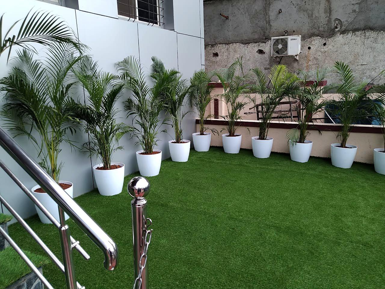 Palms and turf wrapping the forecourt below the entrance stair